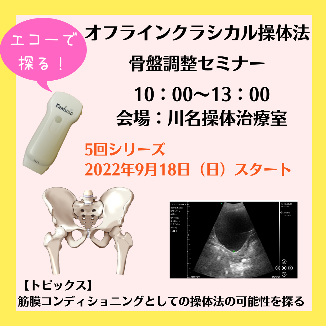 操体法セミナー　エコーで探る